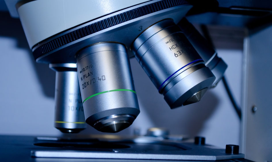scientificpublishing-1.jpg