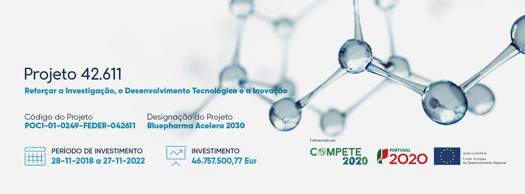 header-bluepharma2030.jpg